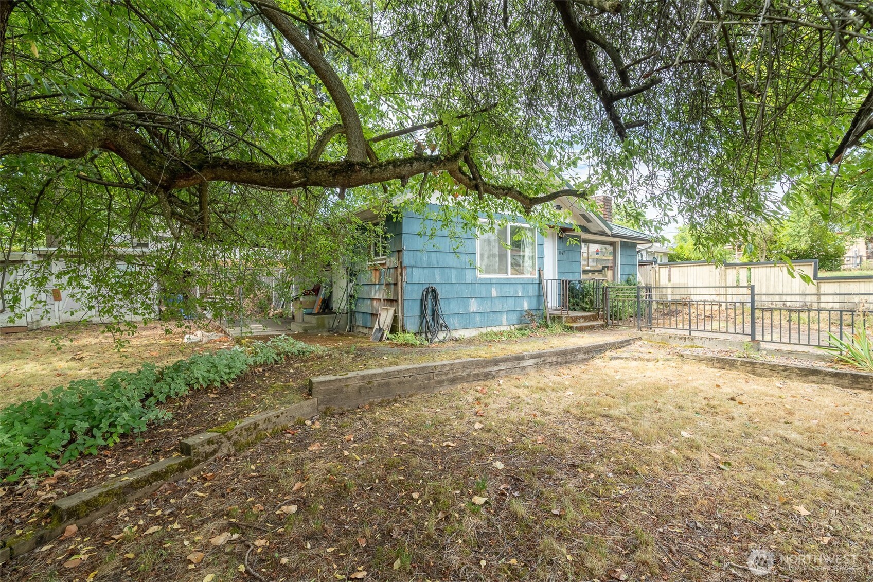 1147 Aberdeen Avenue Northeast Renton, WA 98056 - Photo 11 of 24 a view of a yard with a tree