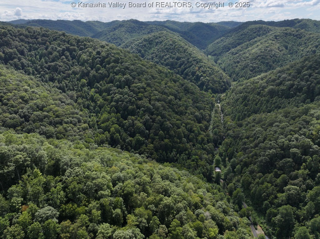 0 Trap Fork Road Panther, WV 24872 - Photo 11 of 18 Gallery Image 11