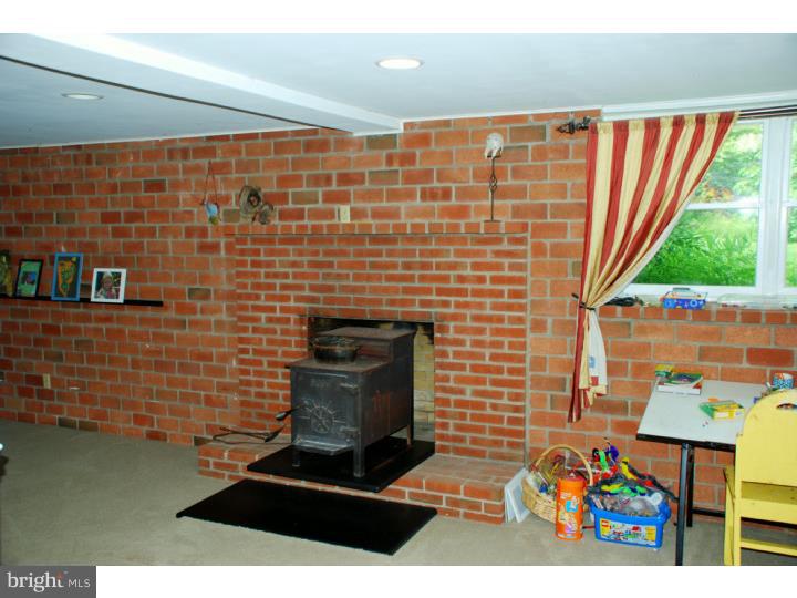 3809 Buckwampum Road Riegelsville, PA 18077 - Photo 11 of 21 Fireplace