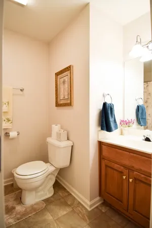a bathroom with a toilet a sink and mirror