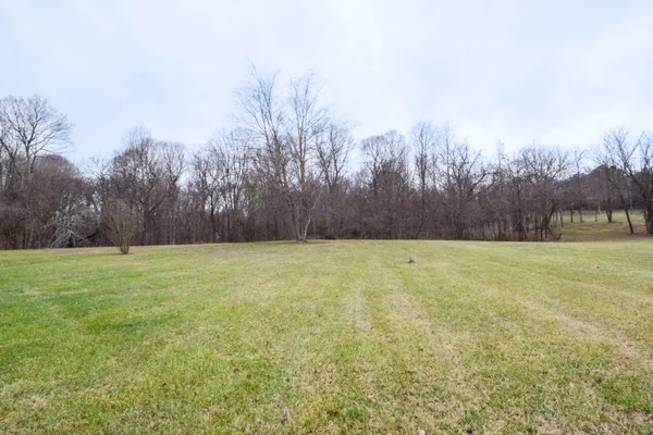a view of a yard