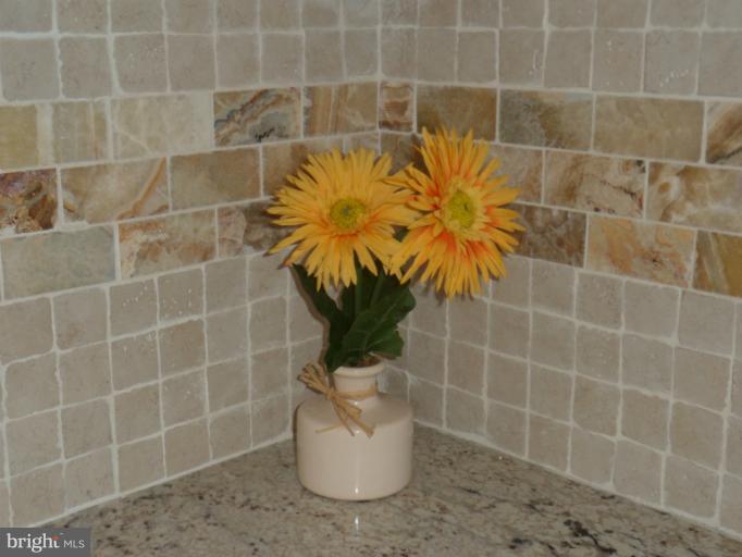 4204 Belle Grove Road Baltimore, MD 21225 - Photo 5 of 26 Custom Onyx Back-Splash