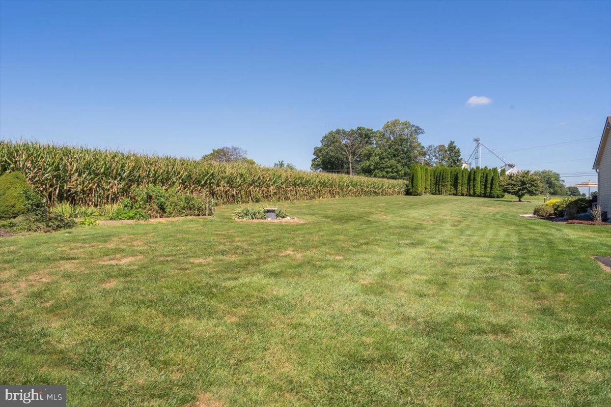 151 Schoff Road Atglen, PA 19310 - Photo 24 of 29 Back yard