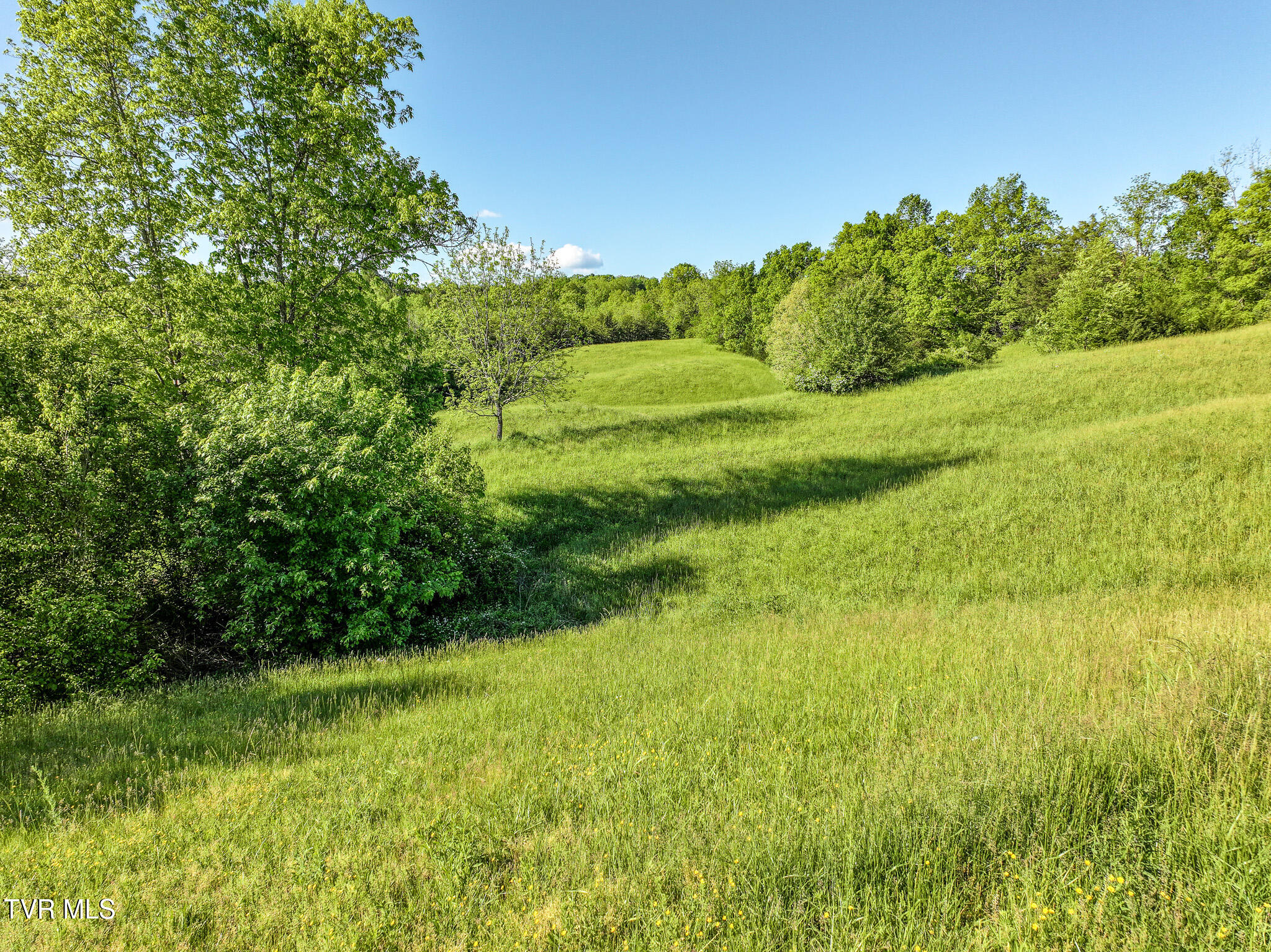 430 Cox Road Greeneville, TN 37743 - Photo 24 of 42 24