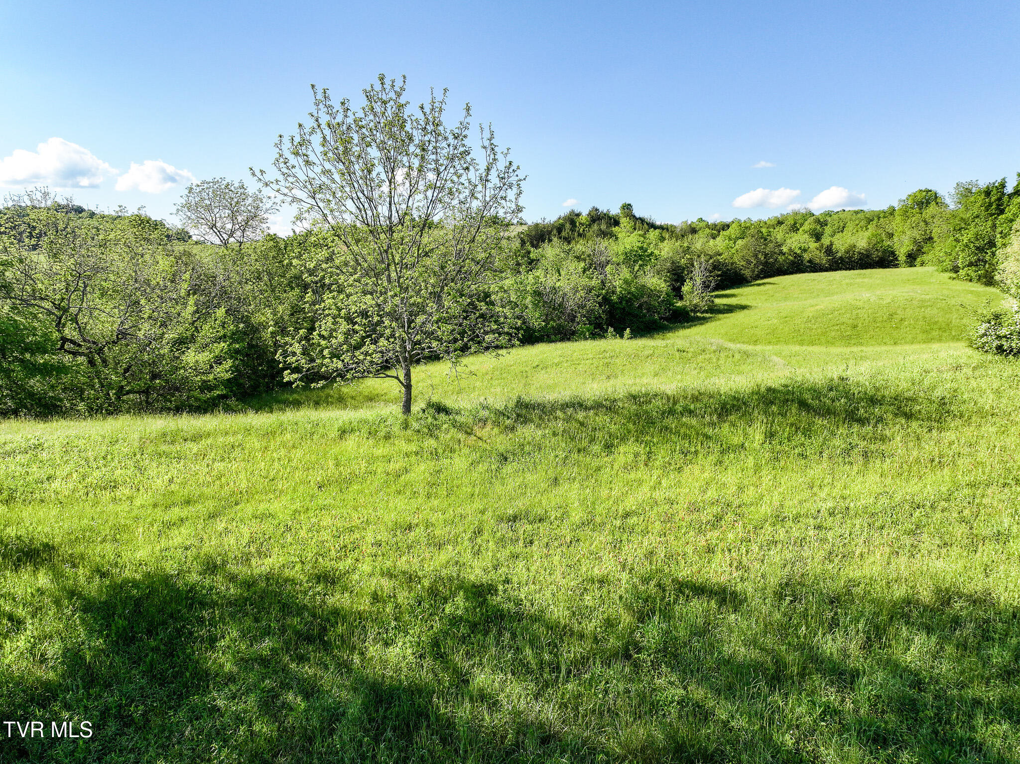 430 Cox Road Greeneville, TN 37743 - Photo 25 of 42 25
