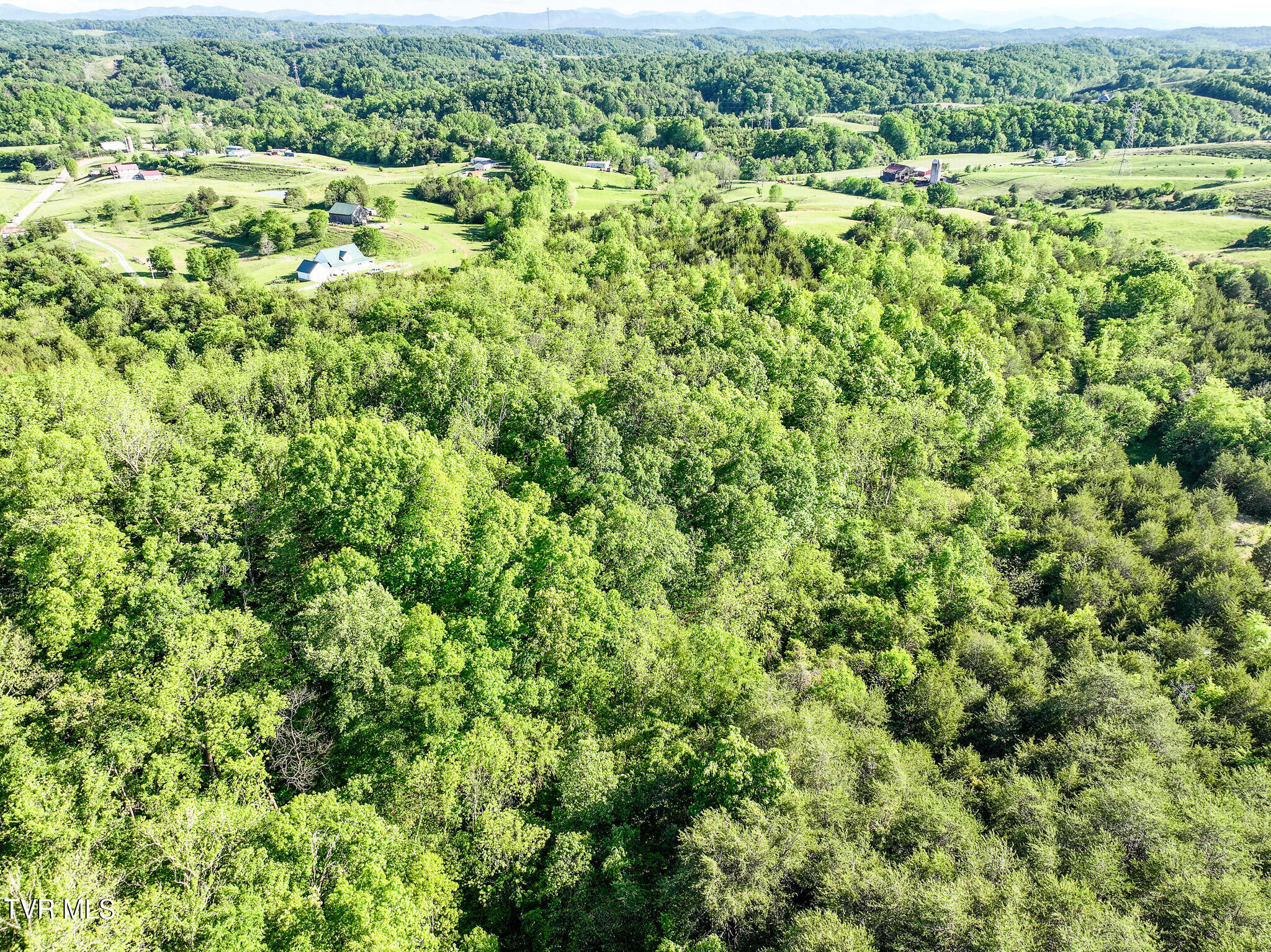 430 Cox Road Greeneville, TN 37743 - Photo 34 of 42 34