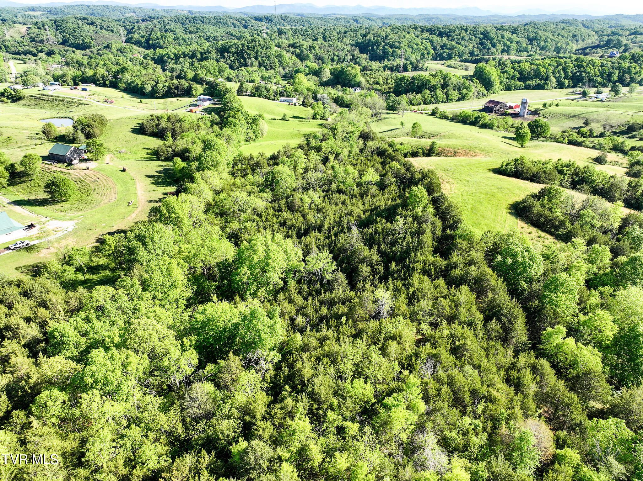 430 Cox Road Greeneville, TN 37743 - Photo 35 of 42 35