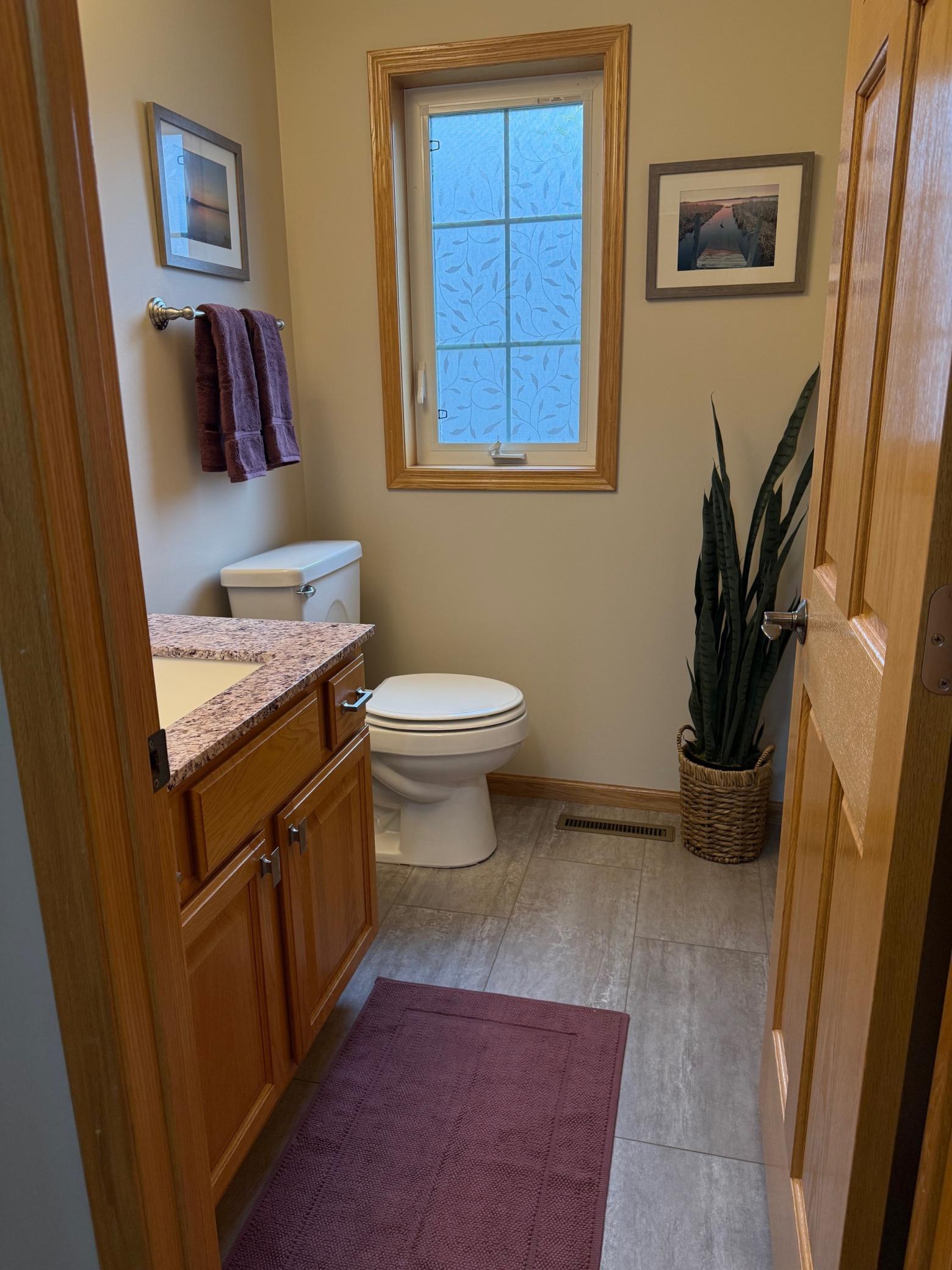 13233 Williamsberg Drive Savage, MN 55378 - Photo 22 of 42