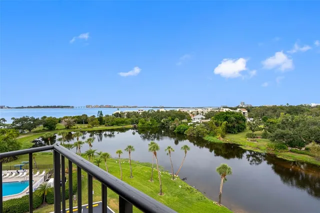 a view of a lake in middle of forest