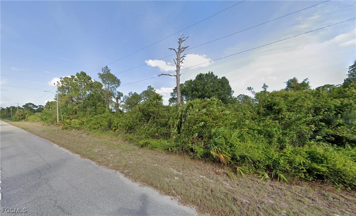 329 Broward Avenue Lehigh Acres, FL 33974 - Photo 3 of 9 a vase of flowers sitting on a sidewalk next to a road