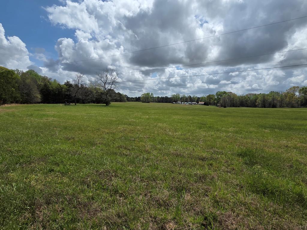 0 Boyce Page Road Honea Path, SC 29654 - Photo 1 of 4 Main View