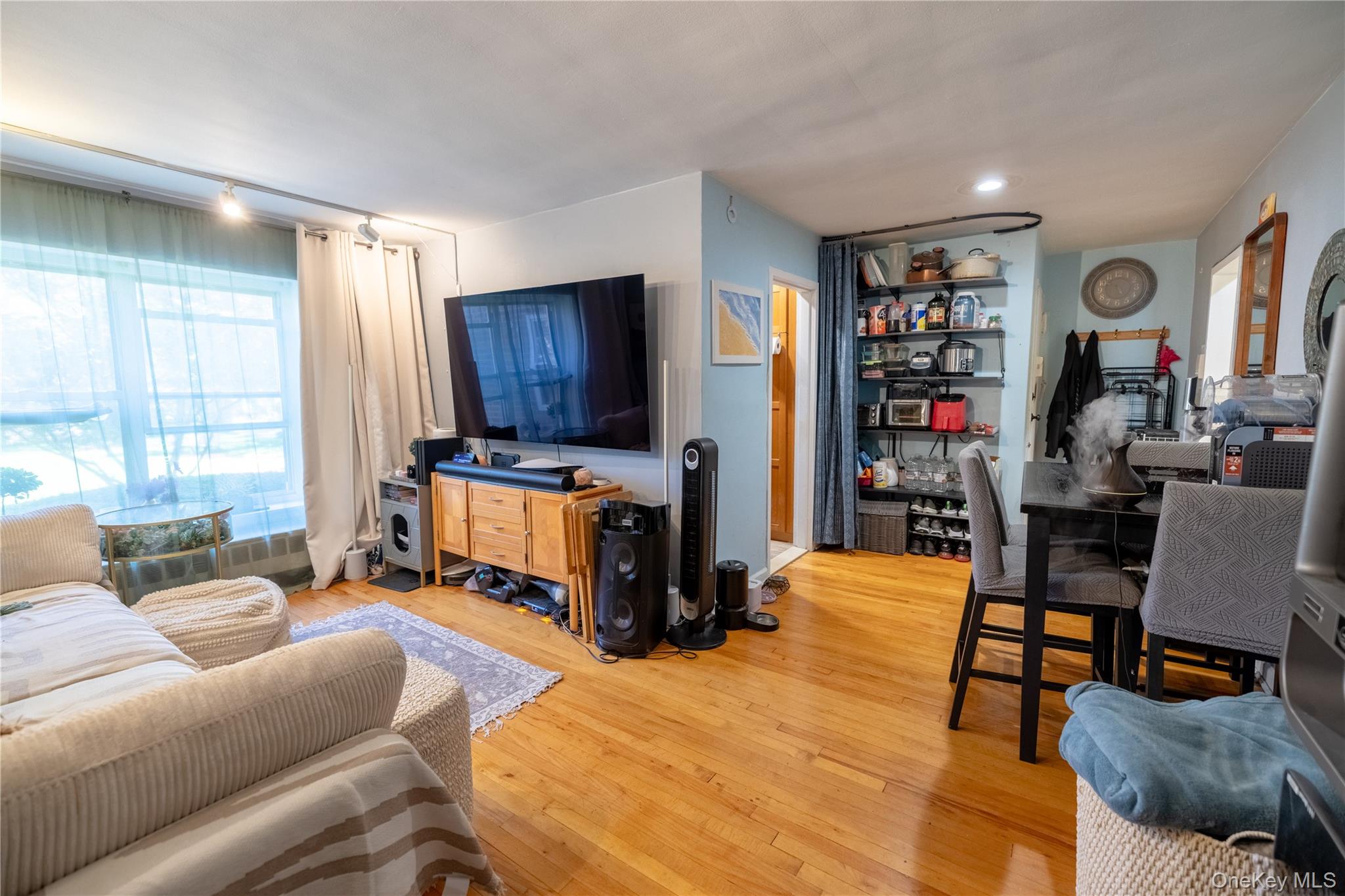221 Middle Neck Road, Unit M2 Great Neck, NY 11021 - Photo 2 of 15 Living room featuring light wood-style flooring