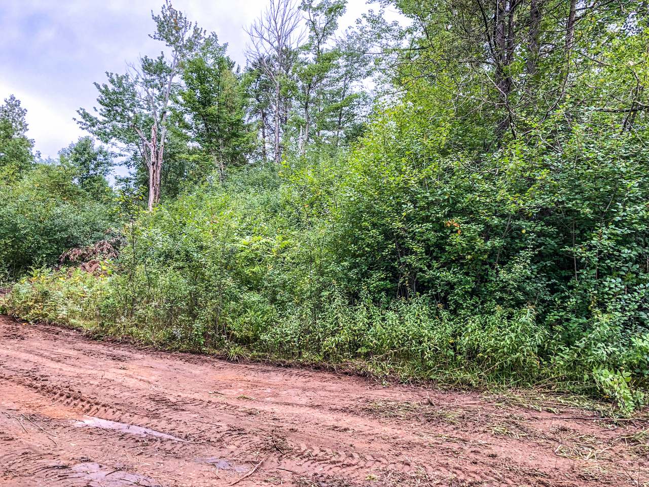Lot 2 Sunset Point Road Tomahawk, WI 54487 - Photo 12 of 13 Gallery Image 12