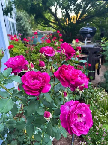 $1,389,000 | 4604 Parktrail Court, Santa Rosa, CA 95405