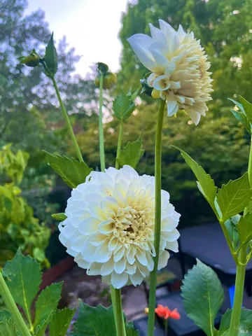 $1,389,000 | 4604 Parktrail Court, Santa Rosa, CA 95405