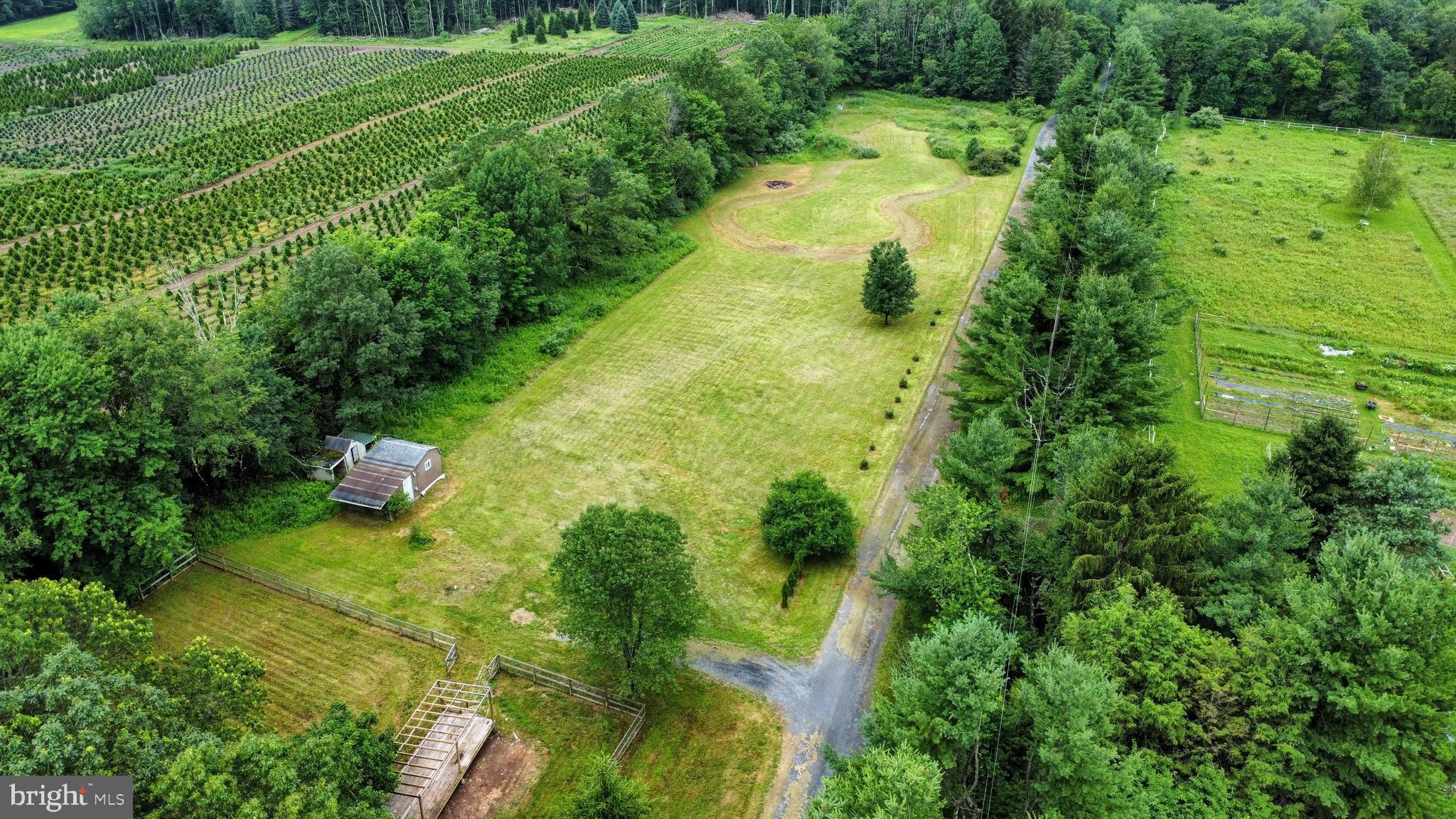 223 Brink Road Saylorsburg, PA 18353 - Photo 5 of 19 a view of yard with green space