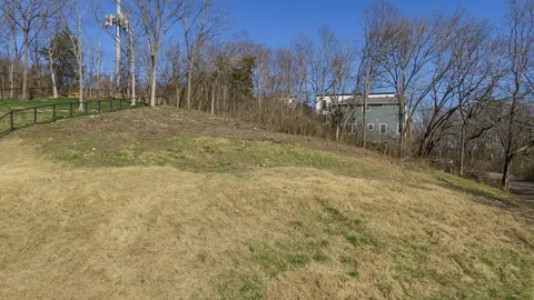 a view of a yard with trees