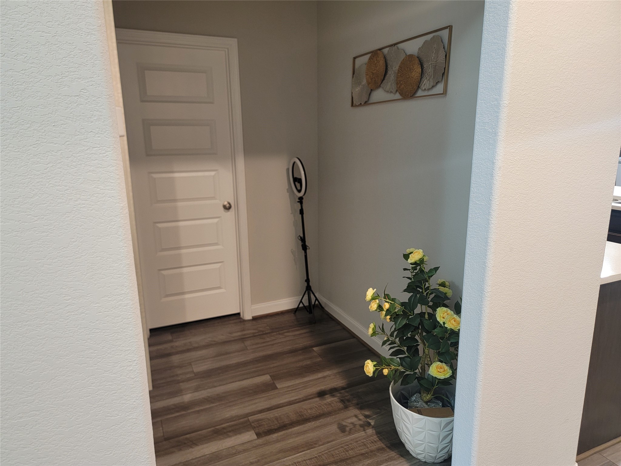 10803 Sugar Pne Lane Rosharon, TX 77583 - Photo 4 of 18 a view of a hallway with wooden floor and a potted plant