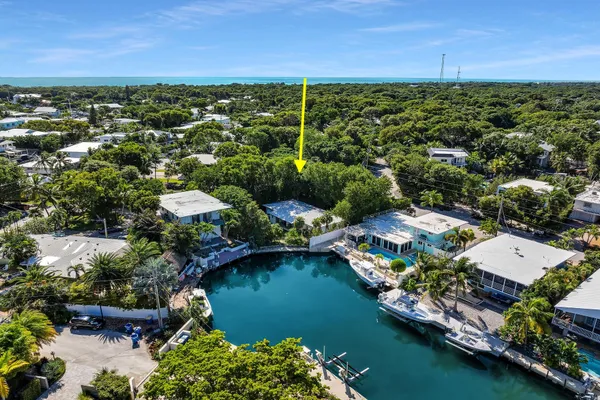 an aerial view of residential houses with outdoor space and river