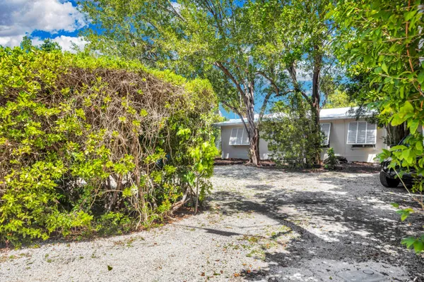 a view of a garden with a tree