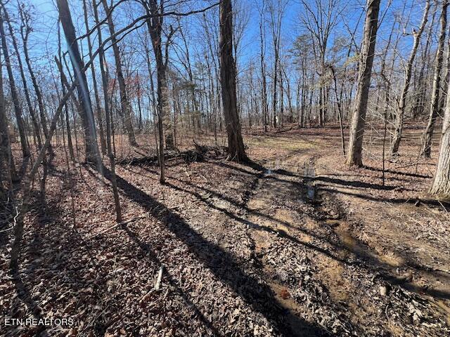 112-113 Red Oak Ln Spring Spring City, TN 37381 - Photo 5 of 12 IMG_6374
