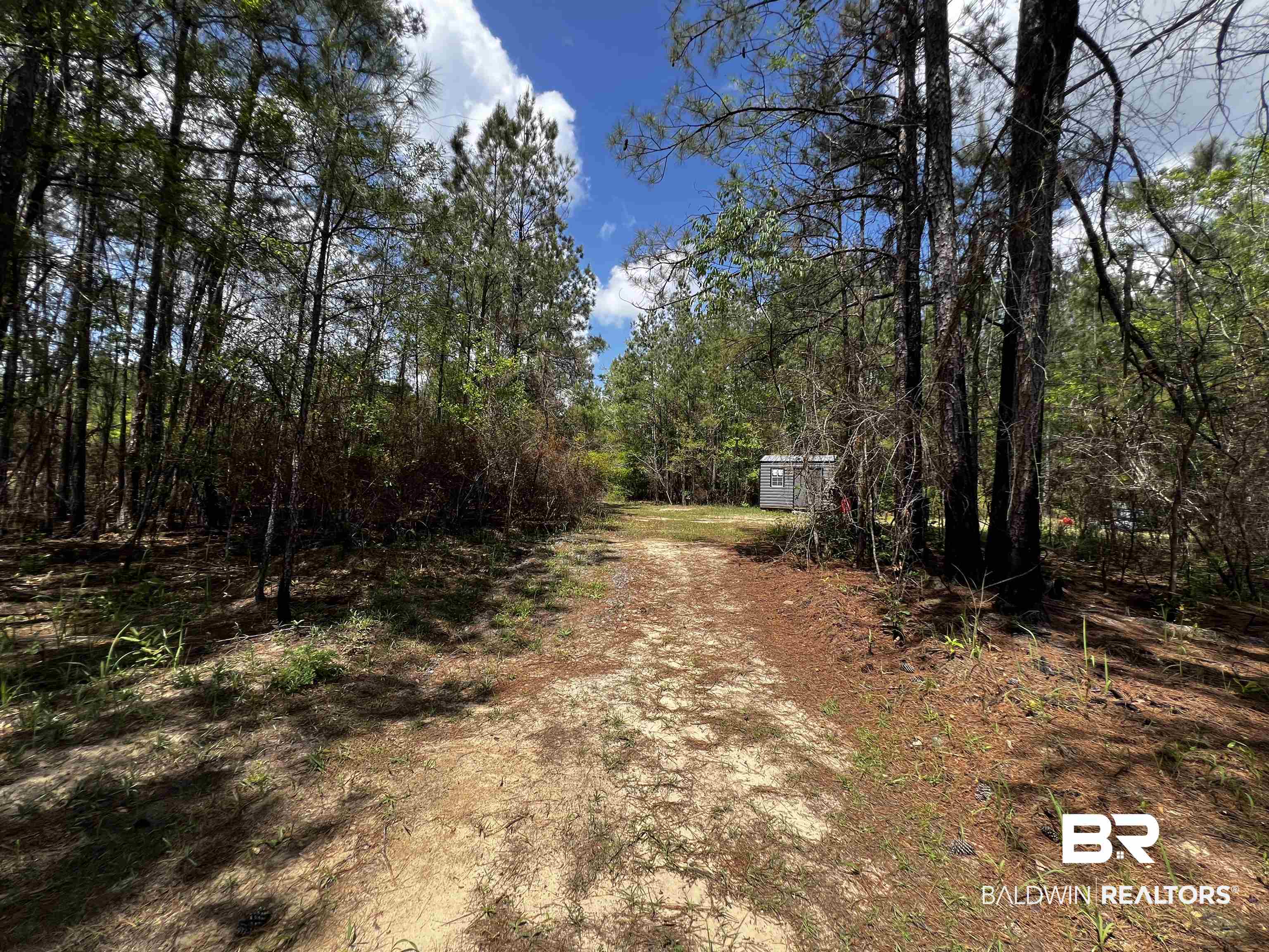 0 Salco Road Axis, AL 36505 - Photo 19 of 24 View of dirt / gravel road