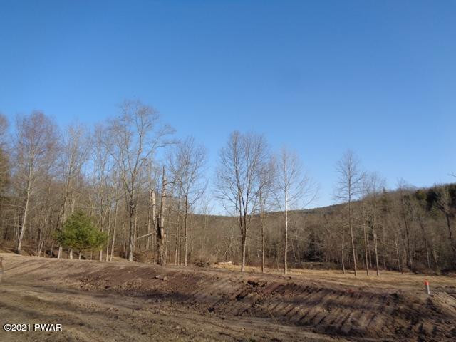 5 Blossom Road Lackawaxen, PA 18435 - Photo 12 of 26
