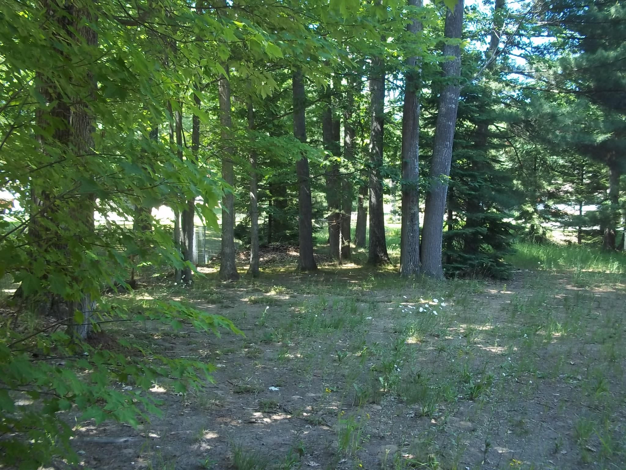 1661 Topinabee Mail Rte Road Cheboygan, MI 49721 - Photo 13 of 16 Gallery Image 13