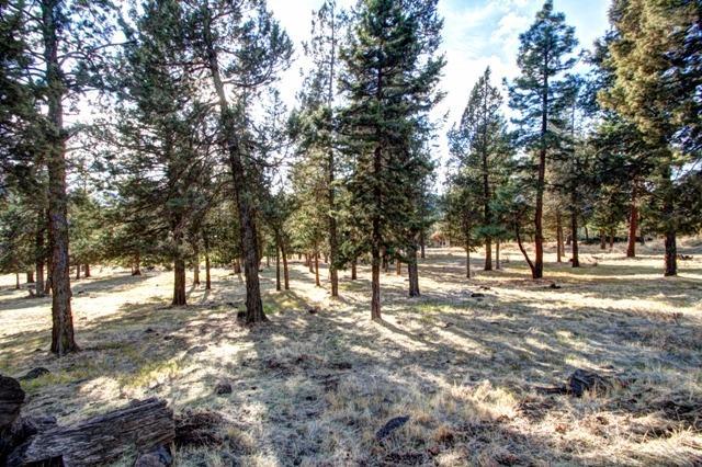 0 Cooper's Hawk Road, Unit L 283 Klamath Falls, OR 97601 - Photo 3 of 7 Additional Photo