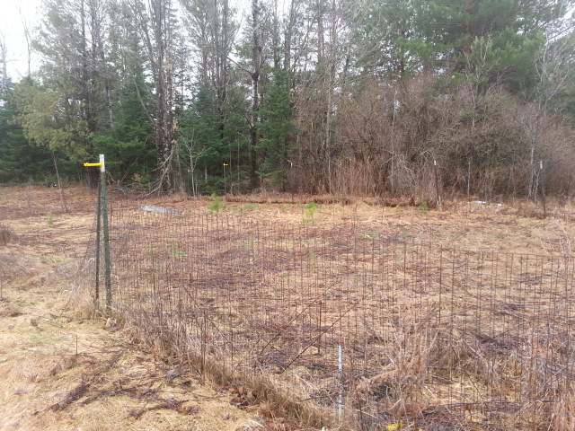 7425 Hwy 17 Sugar Camp Rhinelander, WI 54501 - Photo 16 of 20 Gallery Image 16