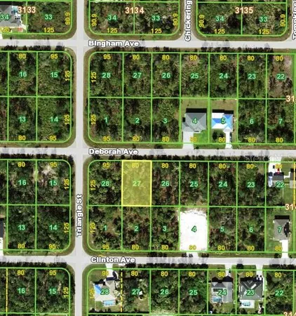 $20,000 | 22139 Deborah Avenue, Port Charlotte, FL 33954