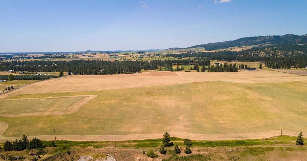 13505 East Gibbs Road Mica, WA 99023 - Photo 4 of 10