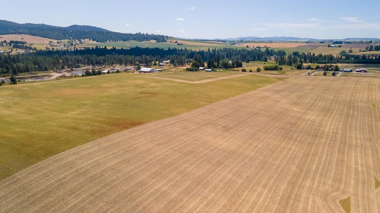 13505 East Gibbs Road Mica, WA 99023 - Photo 6 of 10