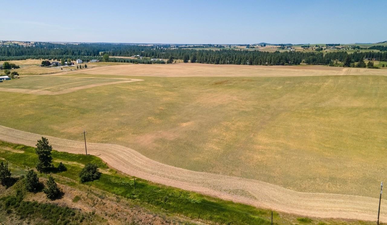 13505 East Gibbs Road Mica, WA 99023 - Photo 8 of 10