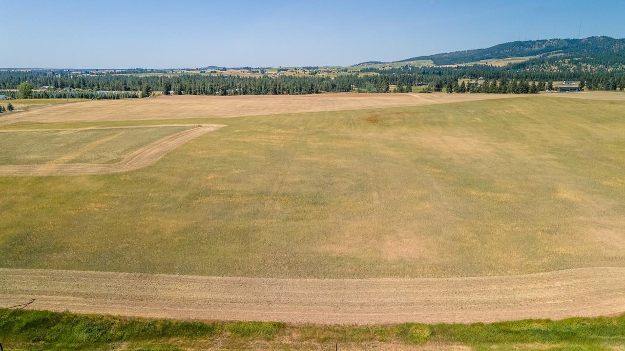 13505 East Gibbs Road Mica, WA 99023 - Photo 10 of 10