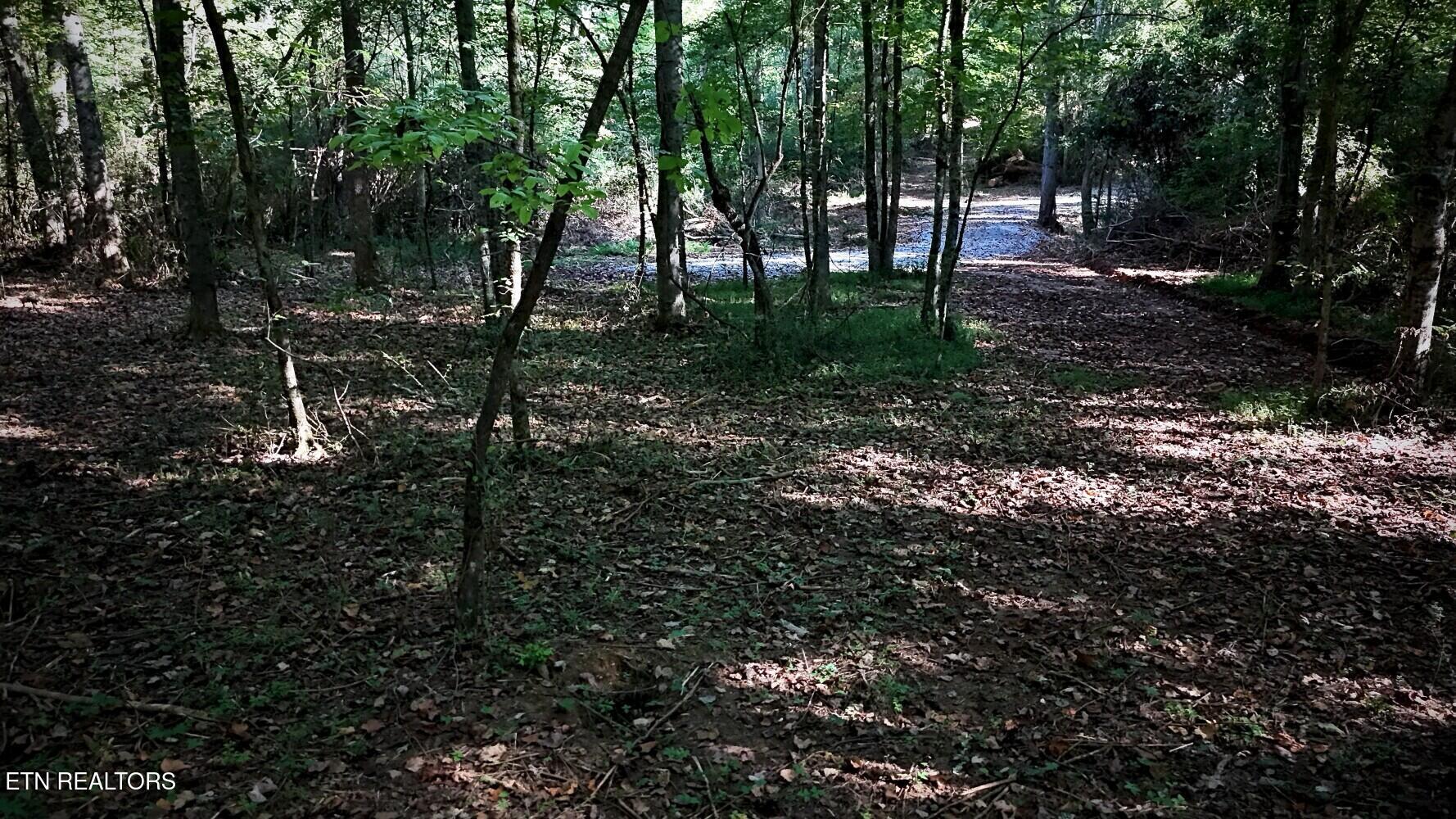 Lot 45 Old Mine Road Sweetwater, TN 37874 - Photo 5 of 7 6aaafcf6f2ef2