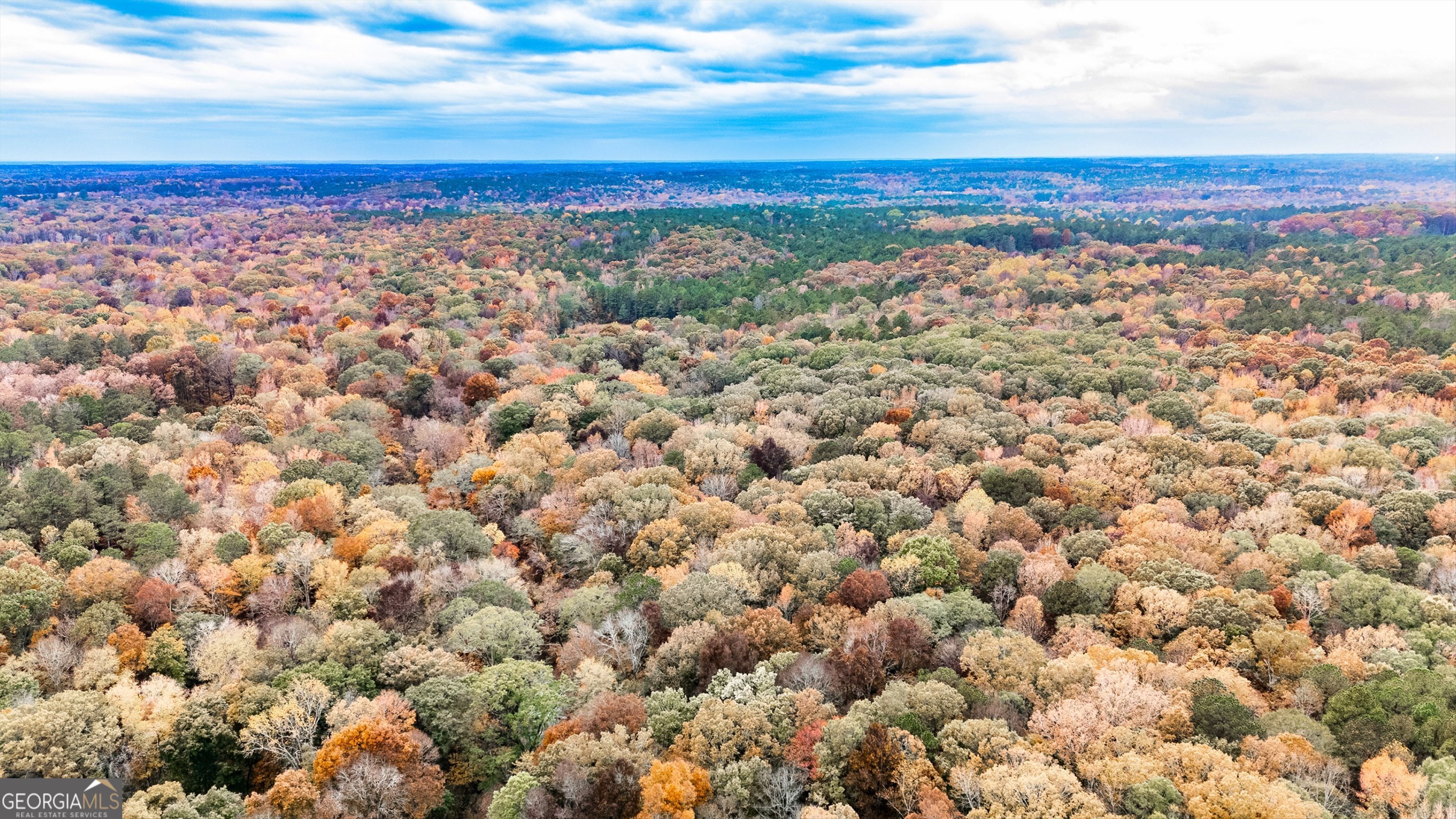 0 Morgan Mill Road Senoia, GA 30276 - Photo 11 of 31 a view of a city with an ocean