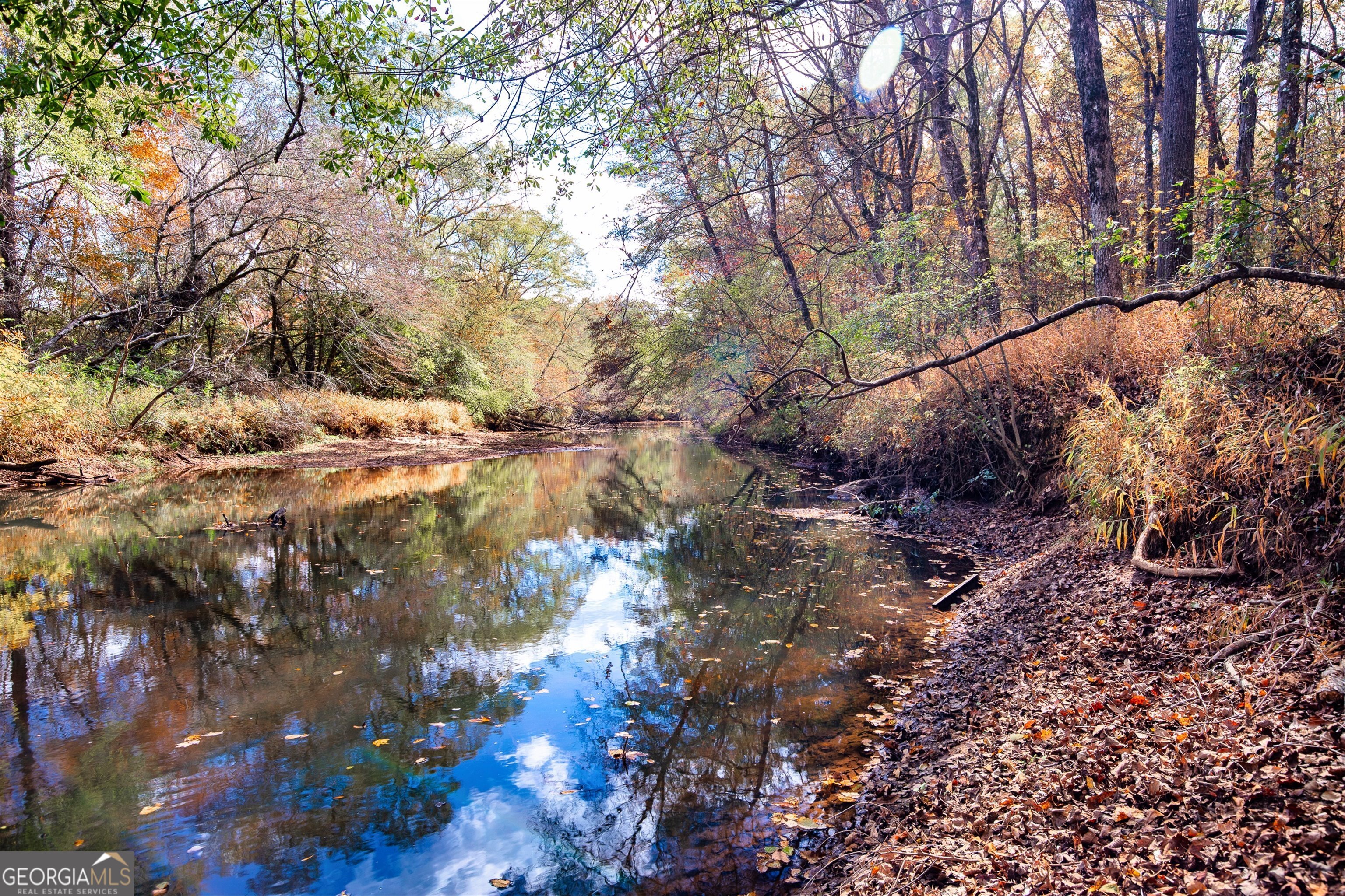 0 Morgan Mill Road Senoia, GA 30276 - Photo 12 of 31 a view of a yard with a tree