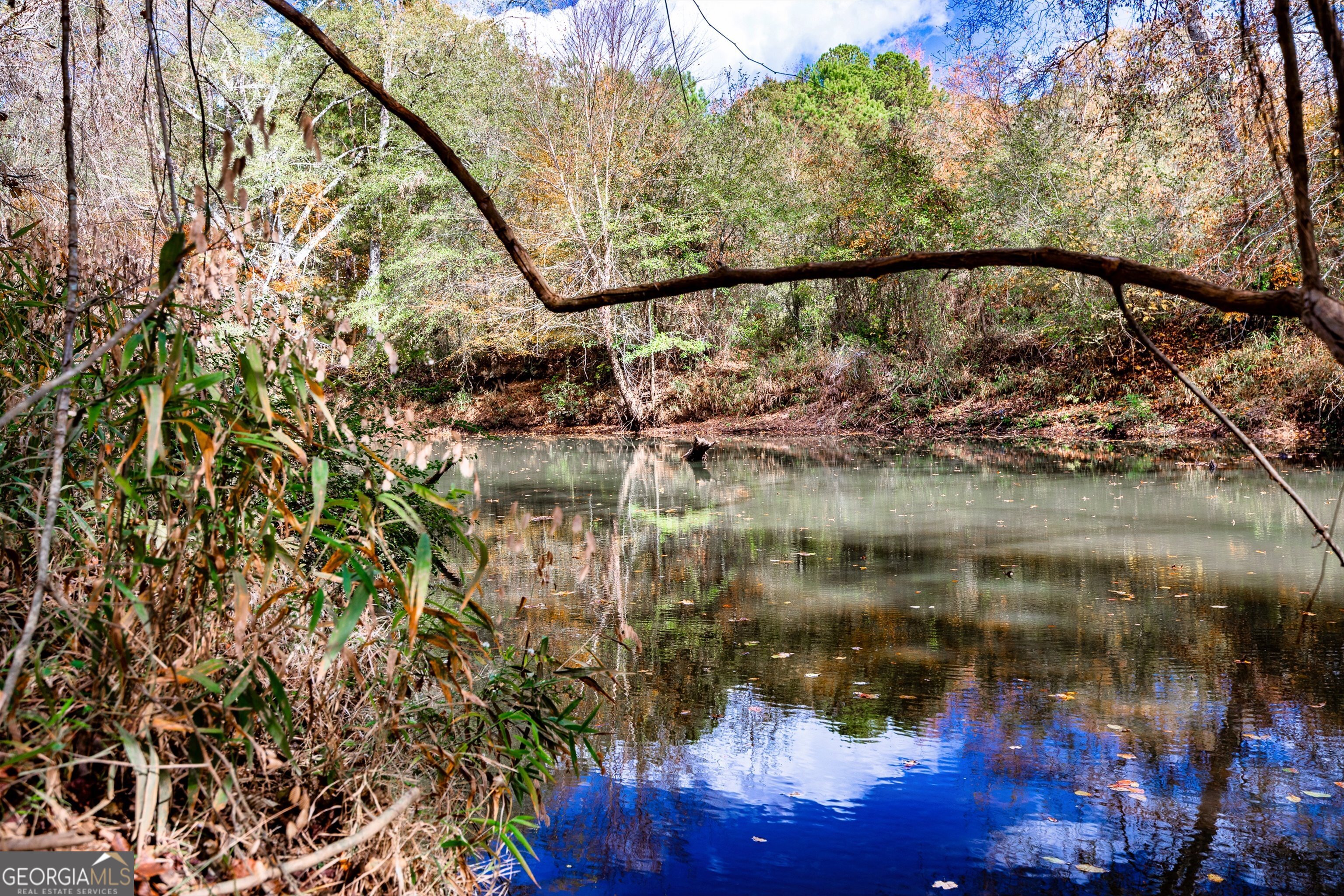 0 Morgan Mill Road Senoia, GA 30276 - Photo 13 of 31 a view of swimming pool from a balcony