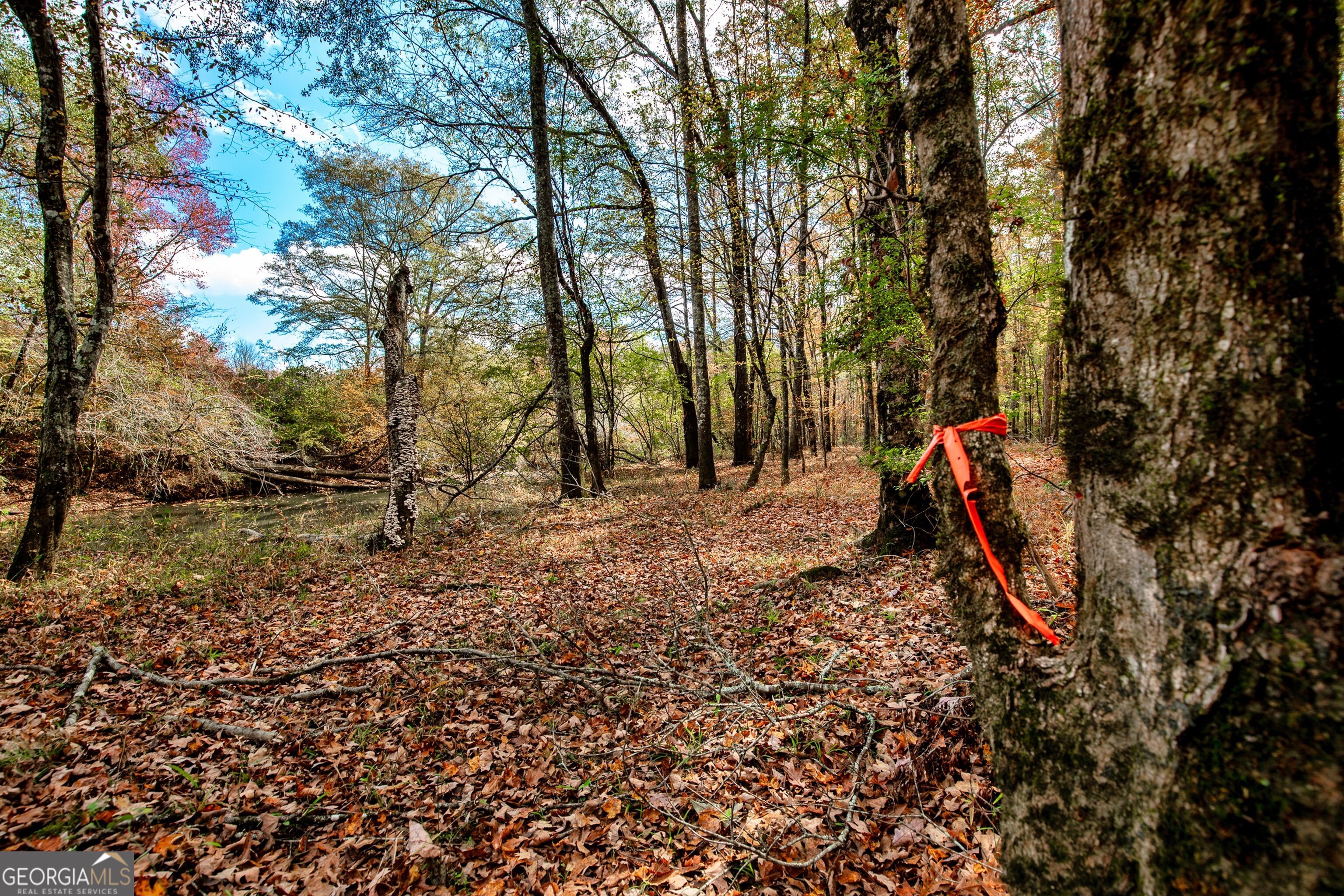 0 Morgan Mill Road Senoia, GA 30276 - Photo 15 of 31 a view of outdoor space with deck and trees