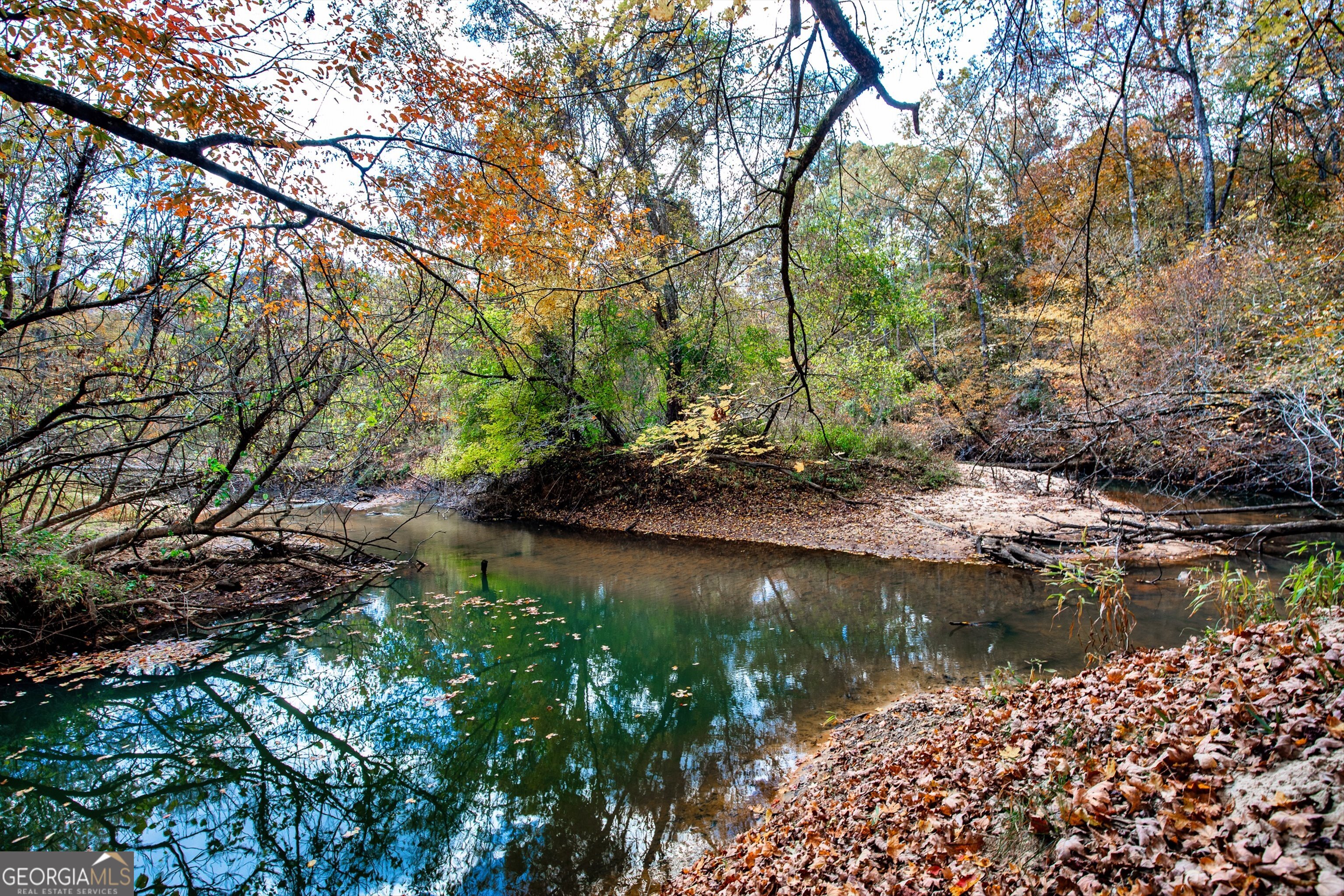 0 Morgan Mill Road Senoia, GA 30276 - Photo 16 of 31 a view of lake with green space