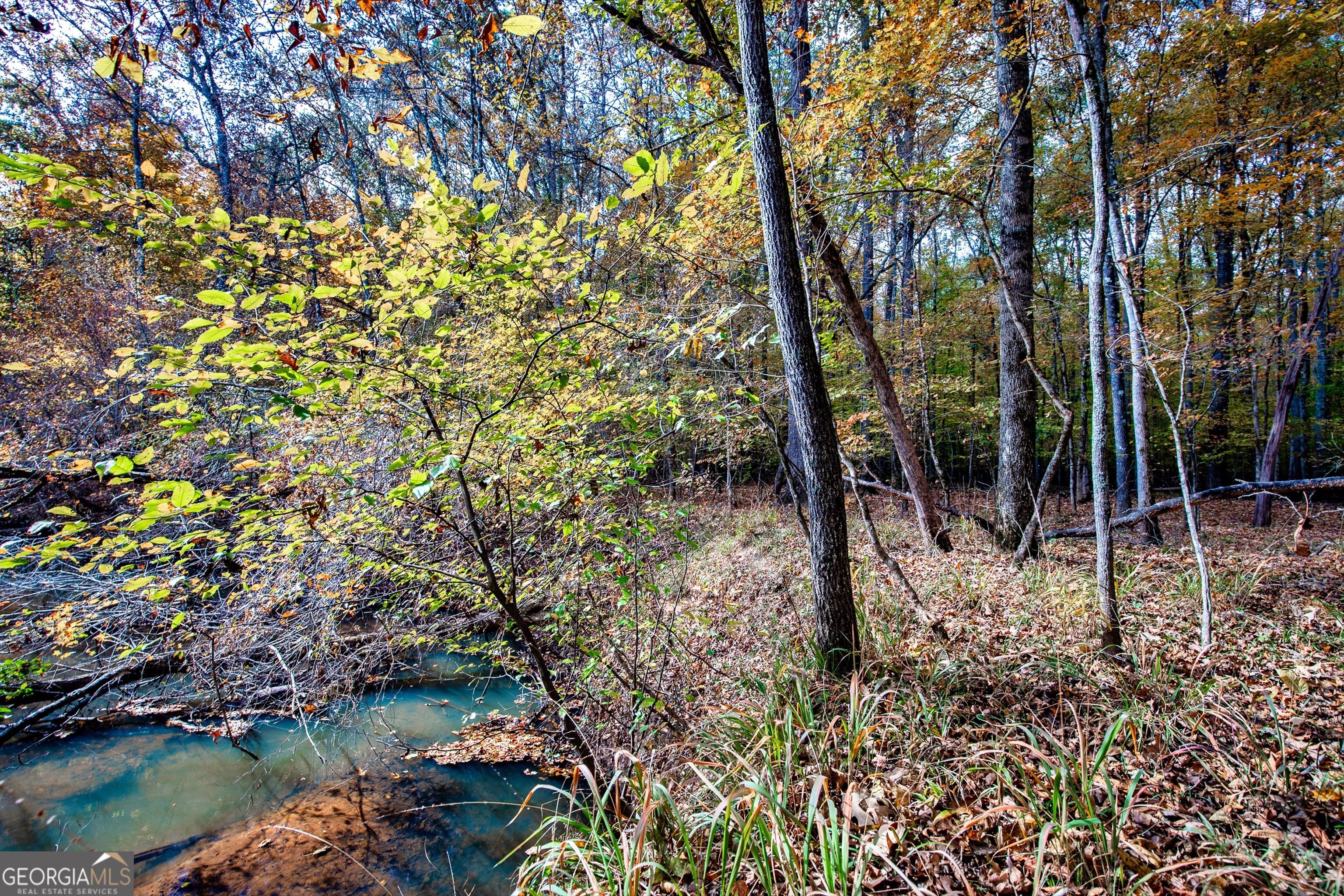 0 Morgan Mill Road Senoia, GA 30276 - Photo 17 of 31 a backyard of a house with lots of green space