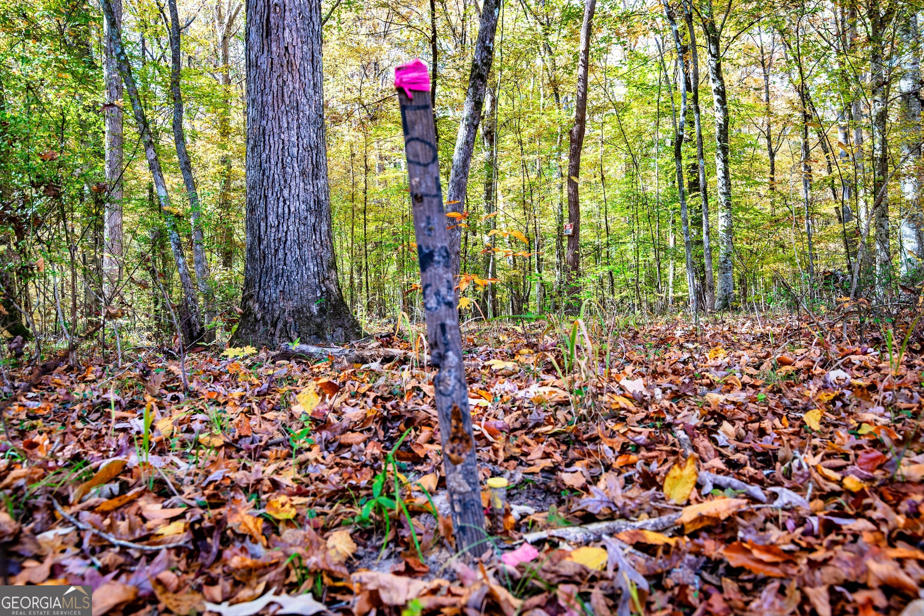 0 Morgan Mill Road Senoia, GA 30276 - Photo 19 of 31