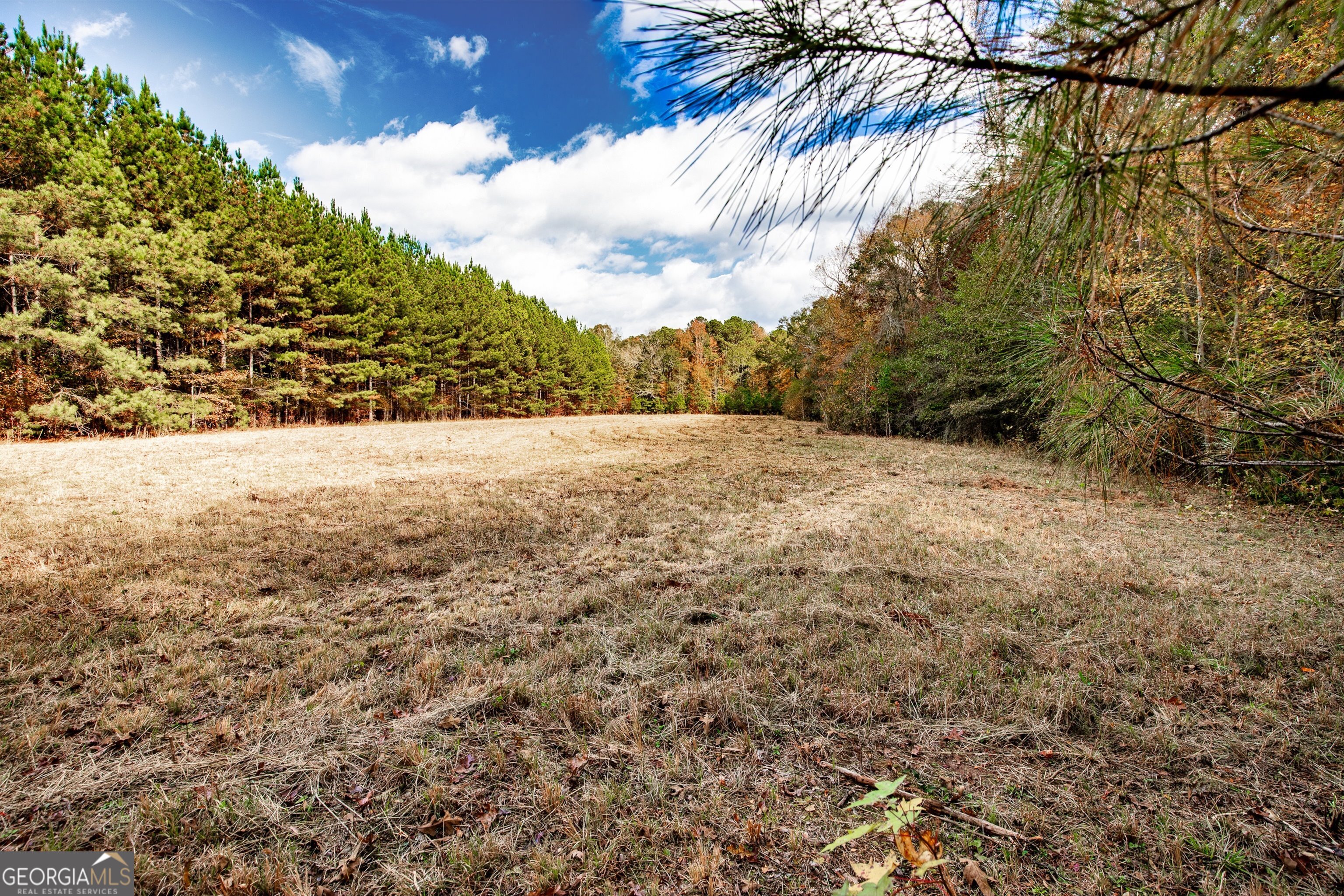 0 Morgan Mill Road Senoia, GA 30276 - Photo 25 of 31 a view of an ocean
