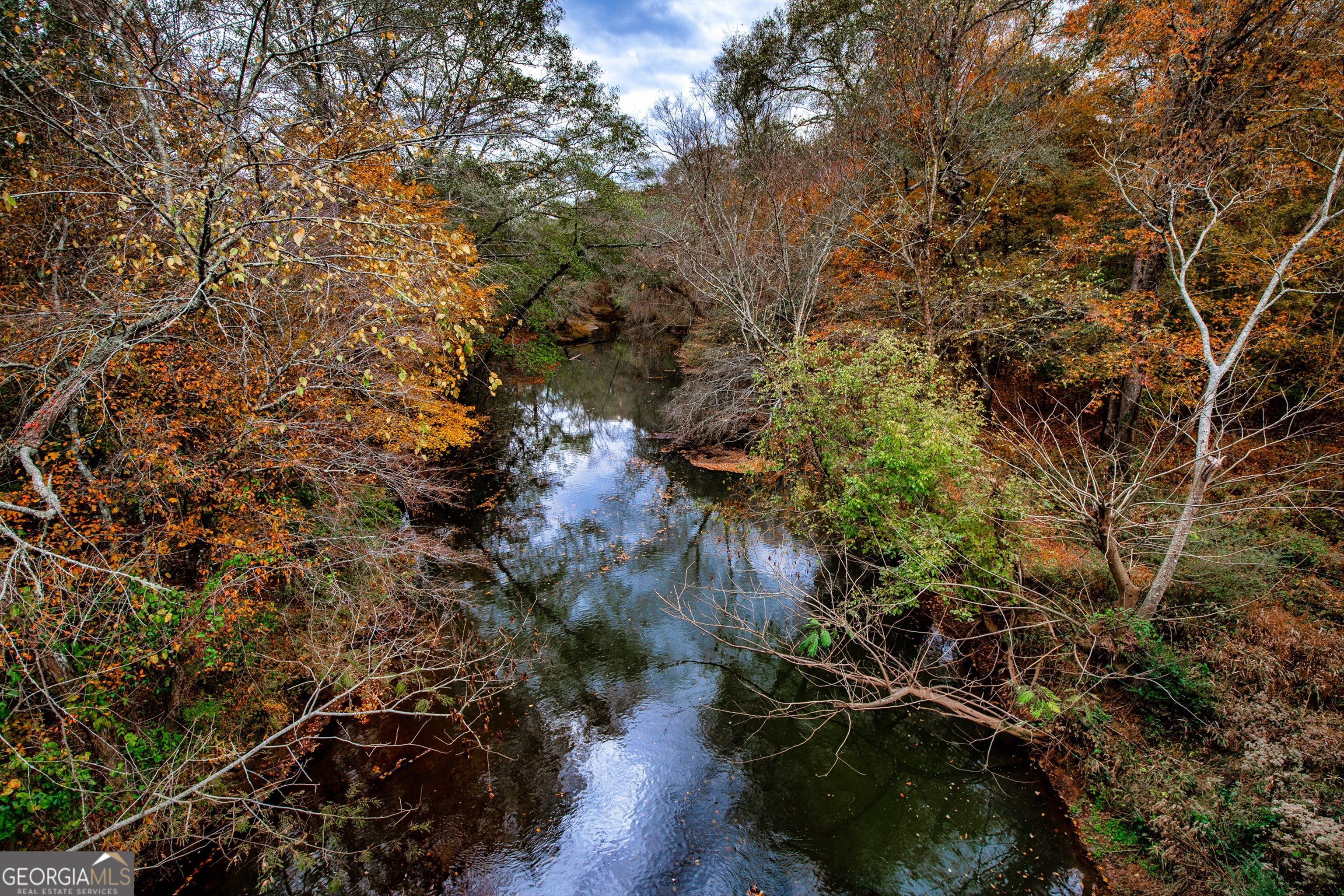 0 Morgan Mill Road Senoia, GA 30276 - Photo 31 of 31 a view of a forest with a tree