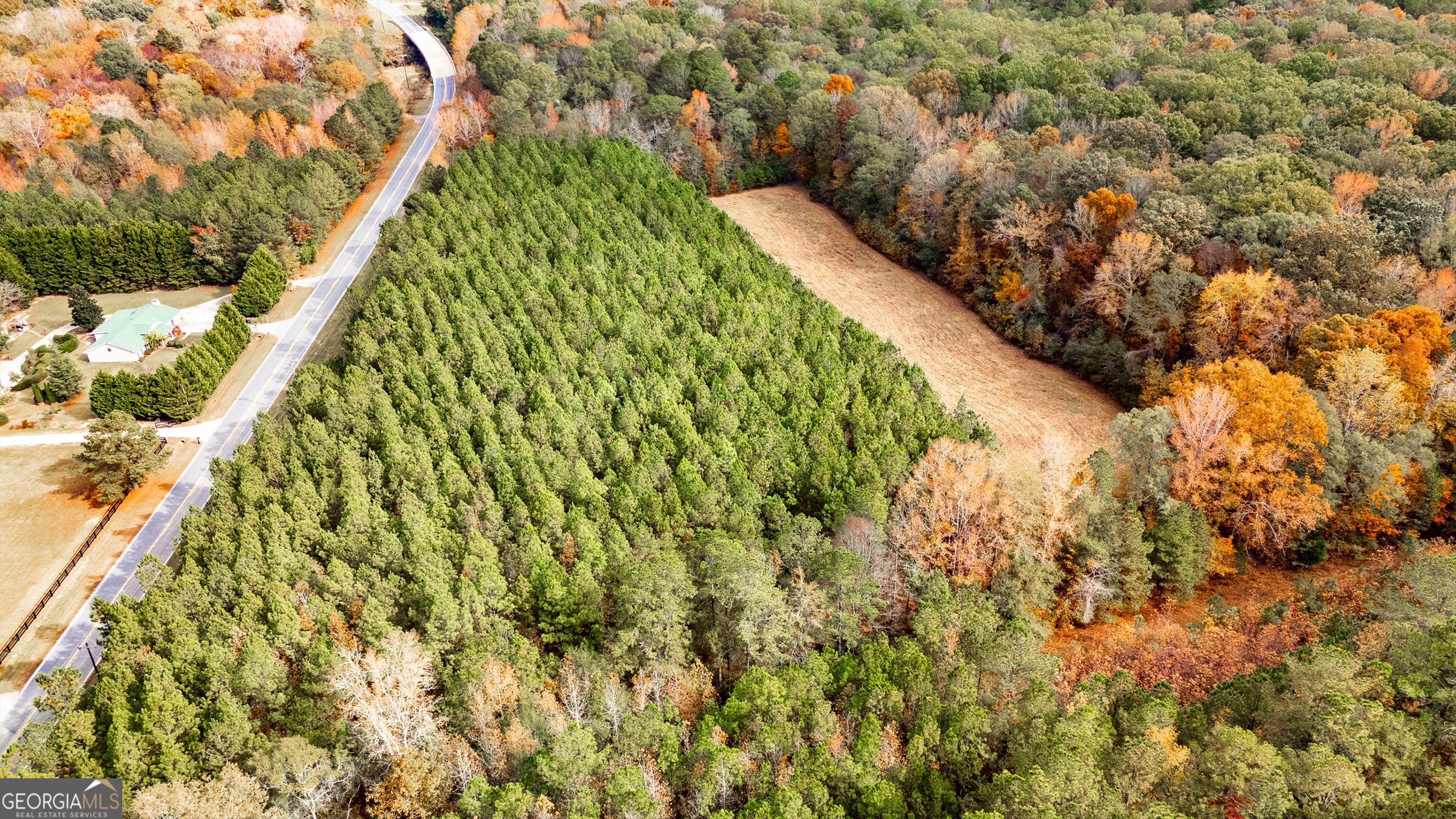 0 Morgan Mill Road Senoia, GA 30276 - Photo 5 of 31 a view of a garden