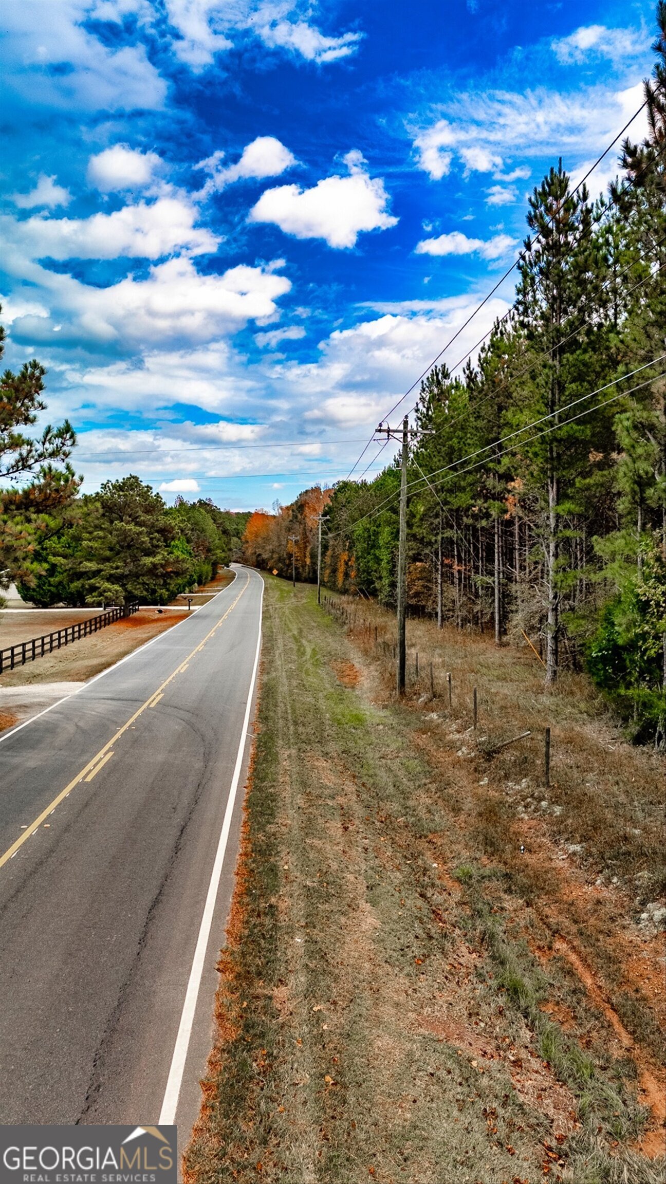 0 Morgan Mill Road Senoia, GA 30276 - Photo 8 of 31 a view of a backyard