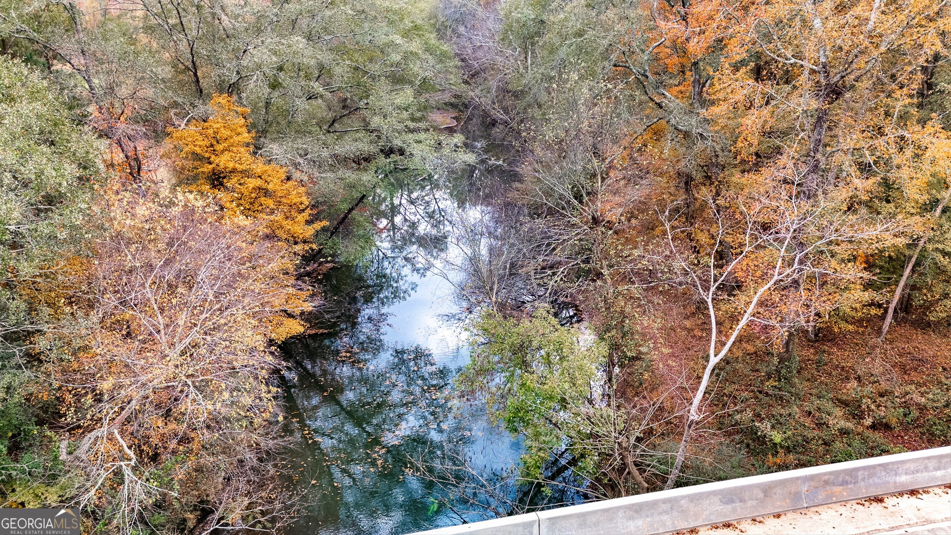 0 Morgan Mill Road Senoia, GA 30276 - Photo 9 of 31 a backyard of a house with lots of green space