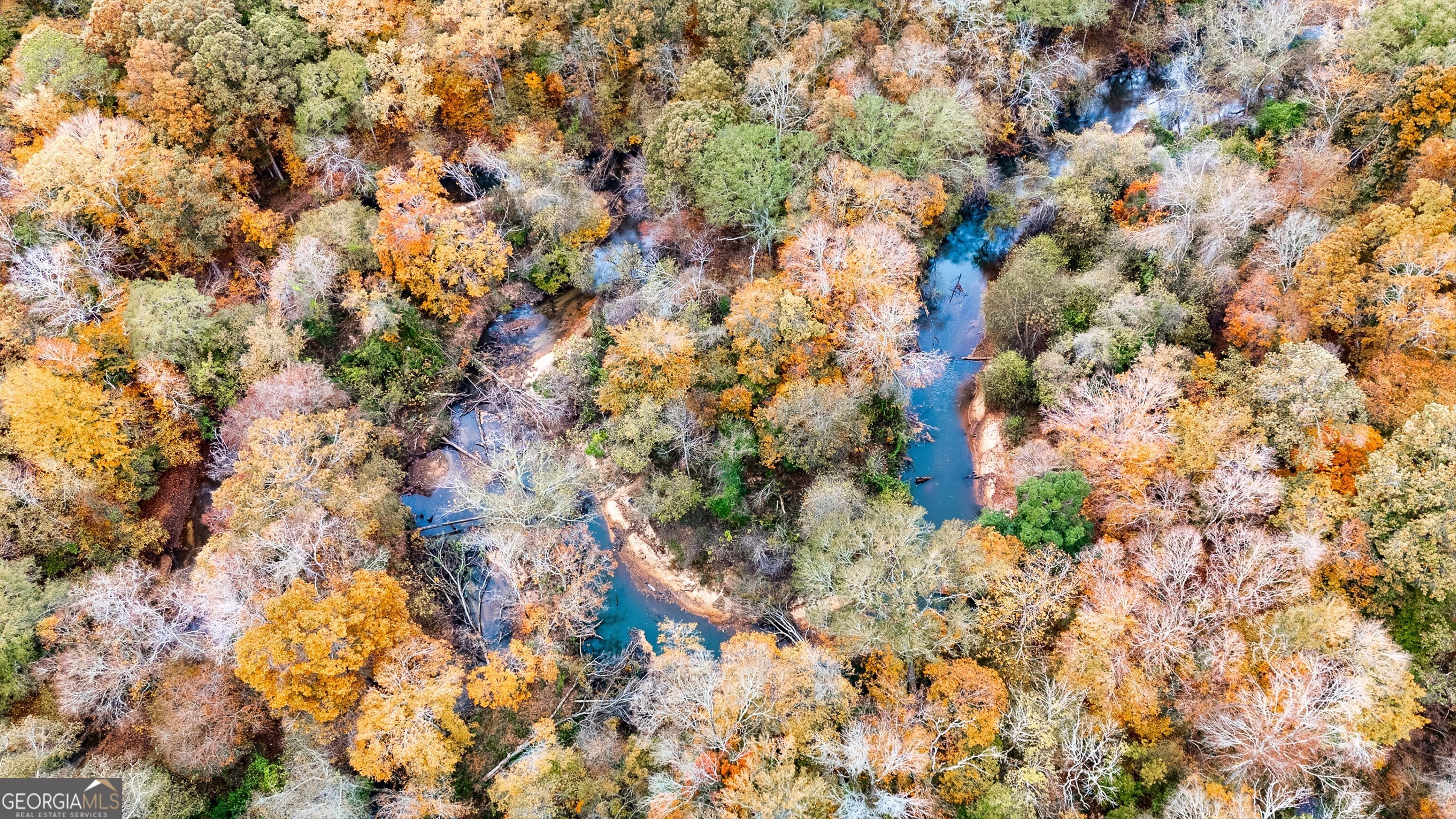 0 Morgan Mill Road Senoia, GA 30276 - Photo 10 of 31