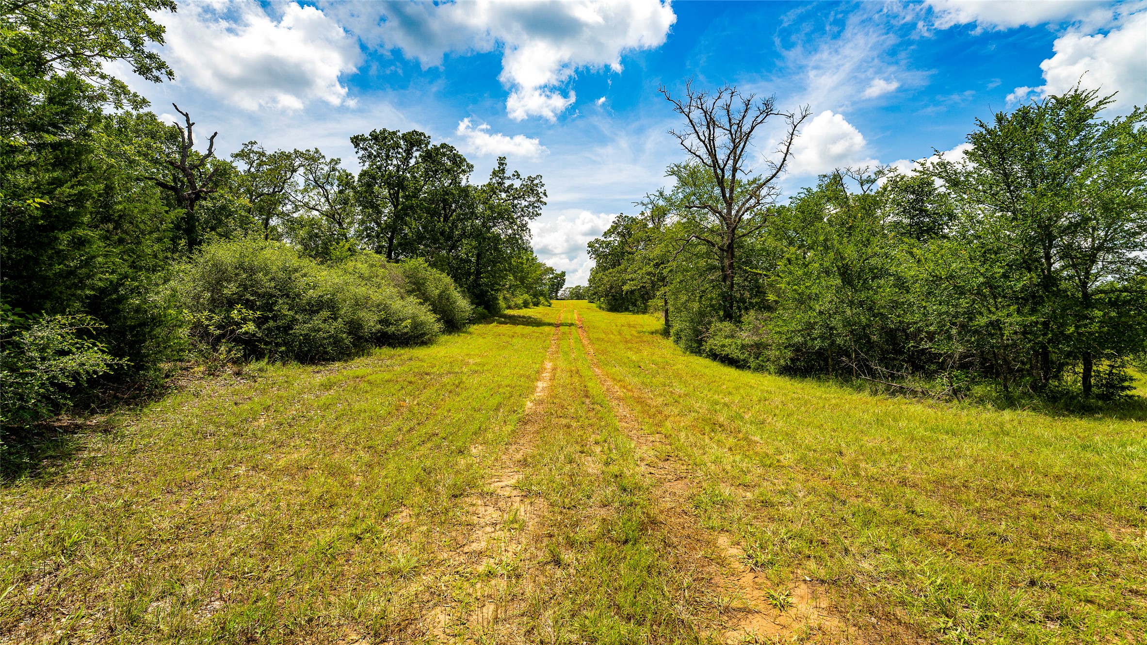 1470 22 Hills Road Gause, TX 77857 - Photo 9 of 35 A natural, unpaved path winds through a verdant landscape, surrounded by abundant mature trees.